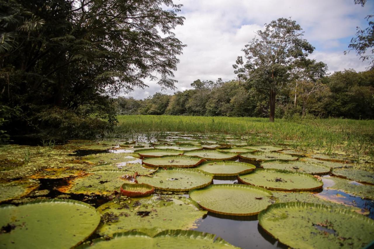 OYO Amazônia Jungle Hotel Iranduba Exterior foto